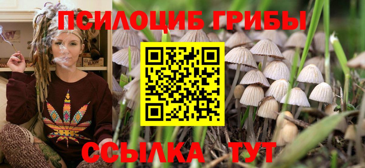 Псилоцибиновые грибы GOLDEN TEACHER Добрянка