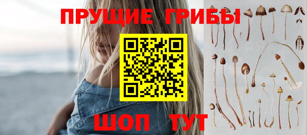 купить наркоту  Вход с VPN  Добрянка  Псилоцибиновые грибы прущие грибы 